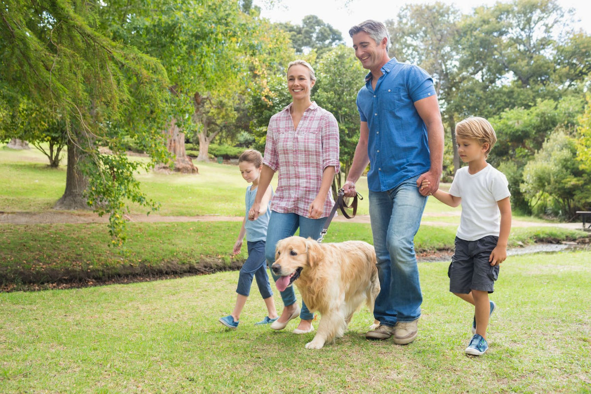 Benefits of Being a Dog Parent | Prana Pets