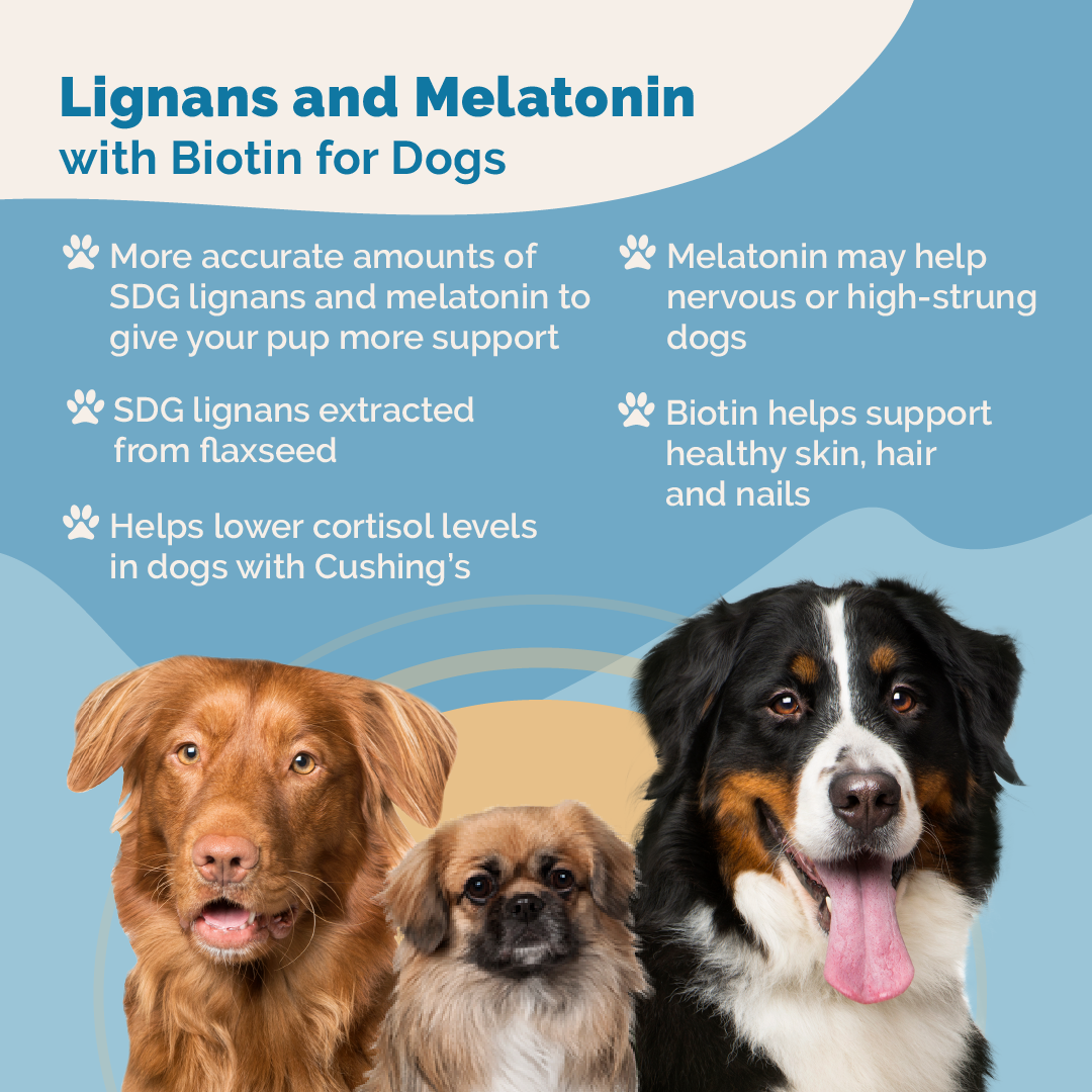 Melatonin and Lignans for Dogs with Biotin