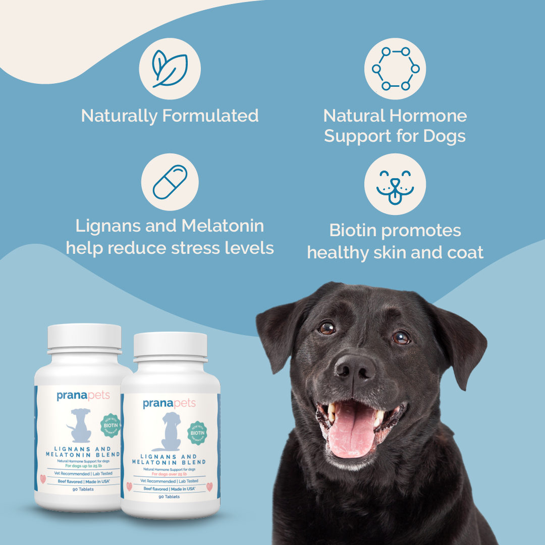 Melatonin and Lignans for Dogs with Biotin