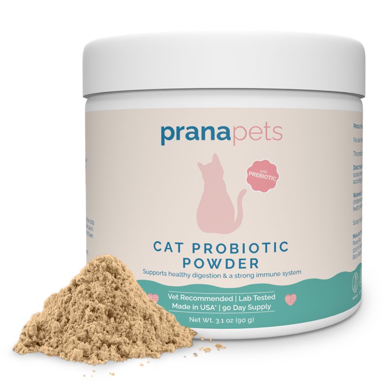 cat probiotic powder for cats and kittens