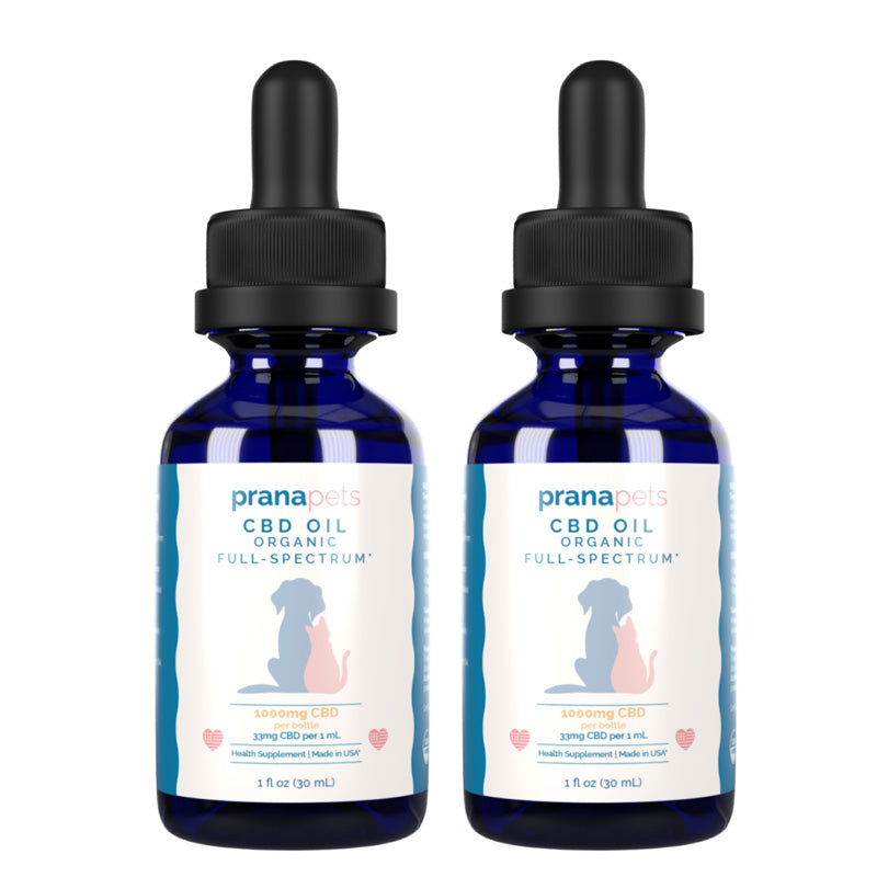 CBD Oil for Cats