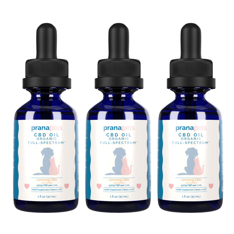 CBD Oil for Cats