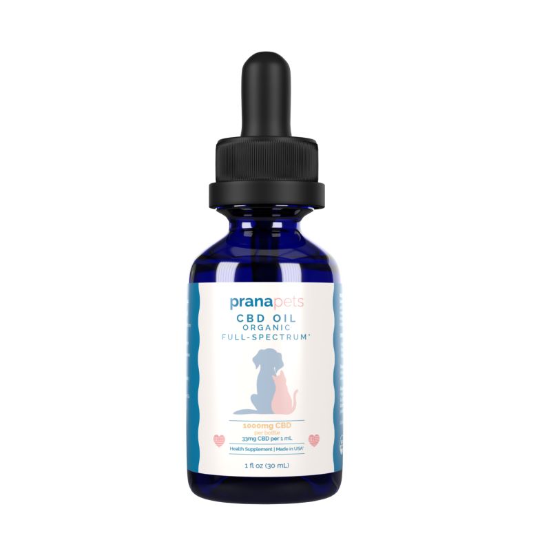 CBD Oil for Cats