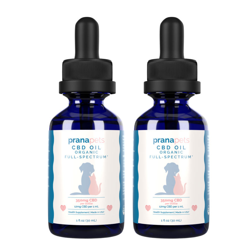 CBD Oil for Dogs