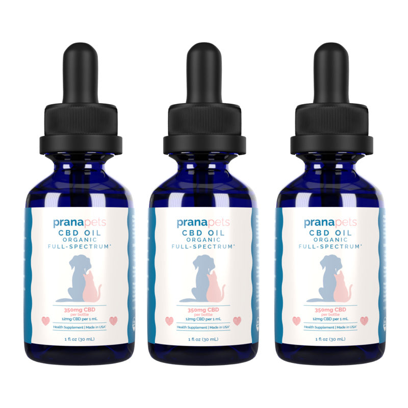 CBD Oil for Dogs