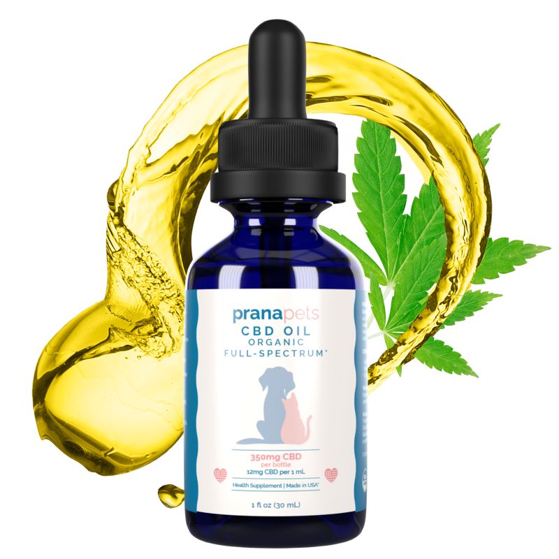 CBD Oil for Pets