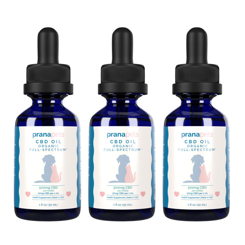 CBD Oil for Cats