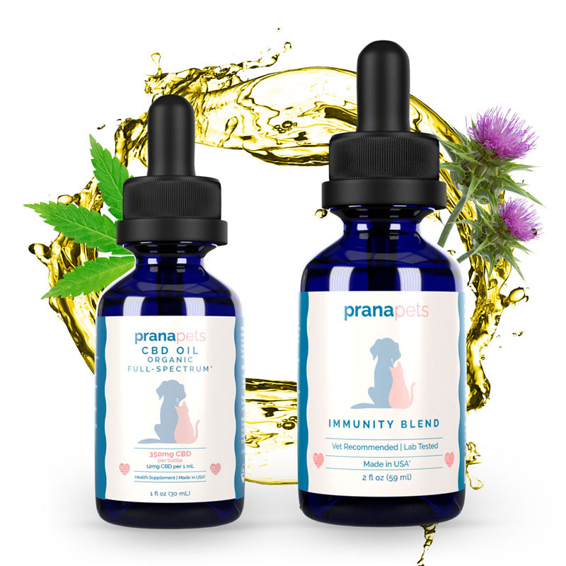 CBD Immunity Regimen