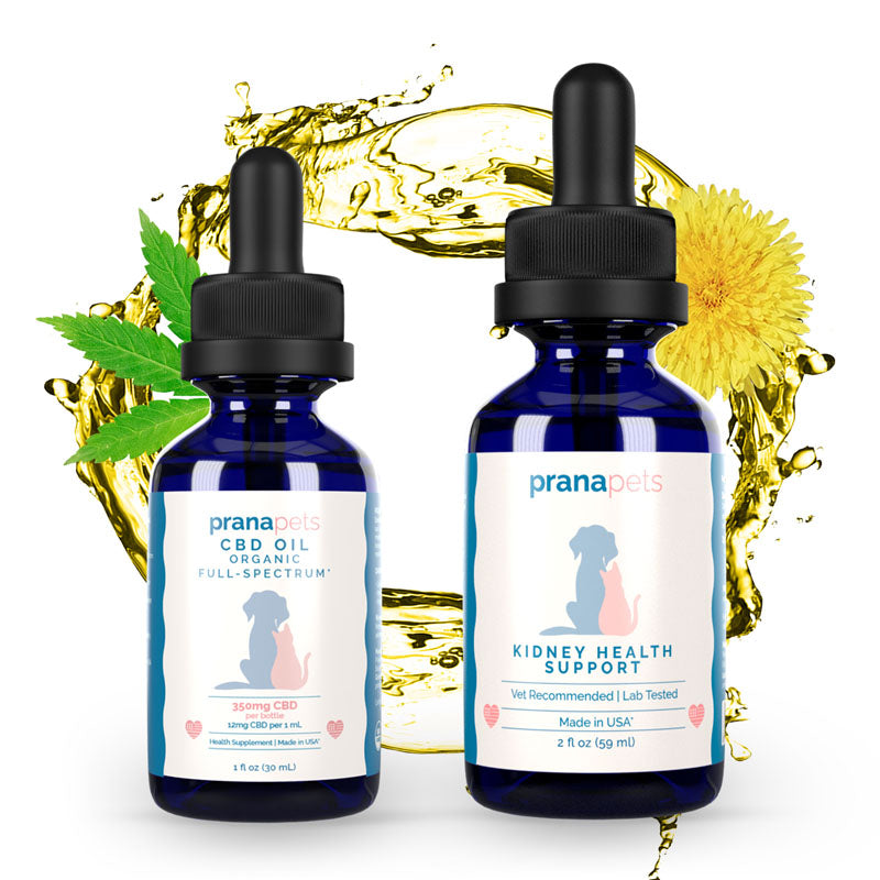 Kidney CBD Health Pack