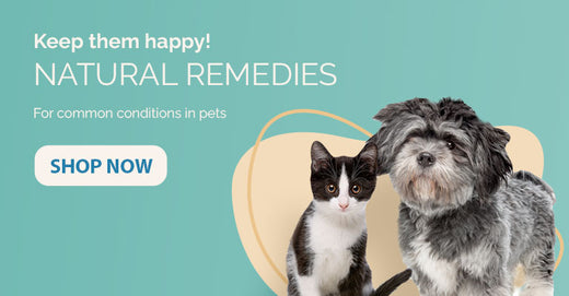 Holistic Pet Supplements | Prana Pets