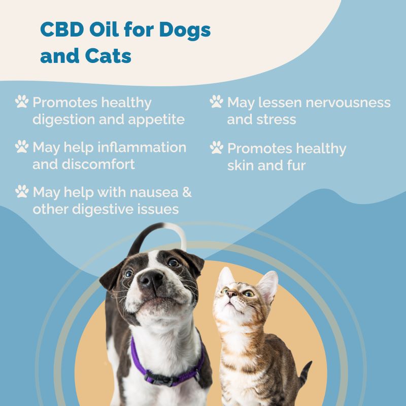 CBD for Pets 3 Pack