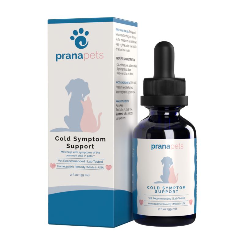 Cold Symptom Support for Dogs