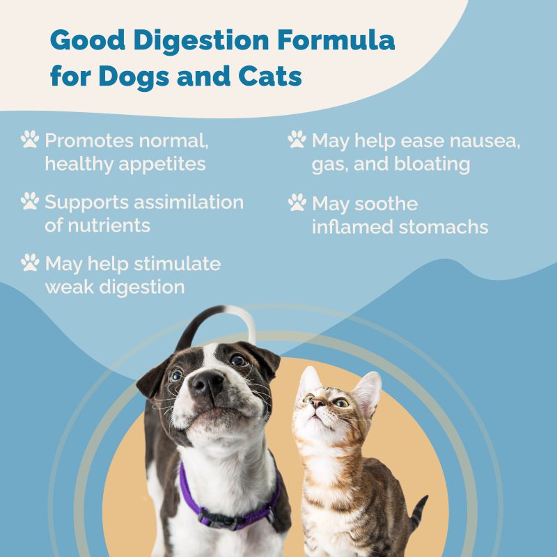 Good Digestion Formula for Cats