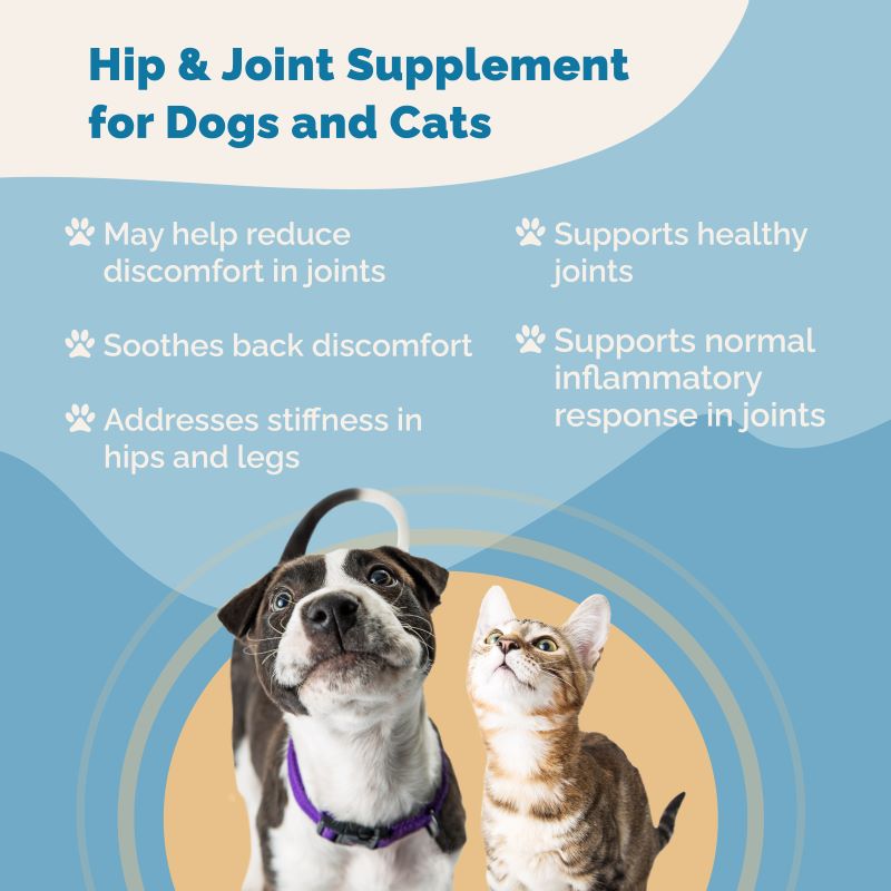 Hip & Joint Health Support with Glucosamine for Dogs
