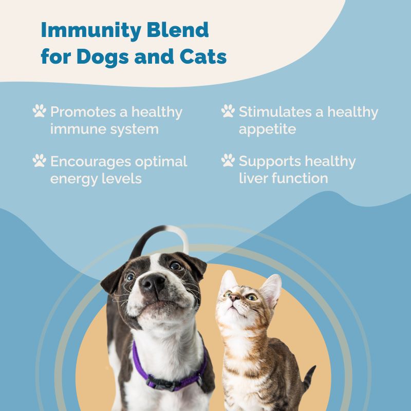 Respiratory Immunity Regimen