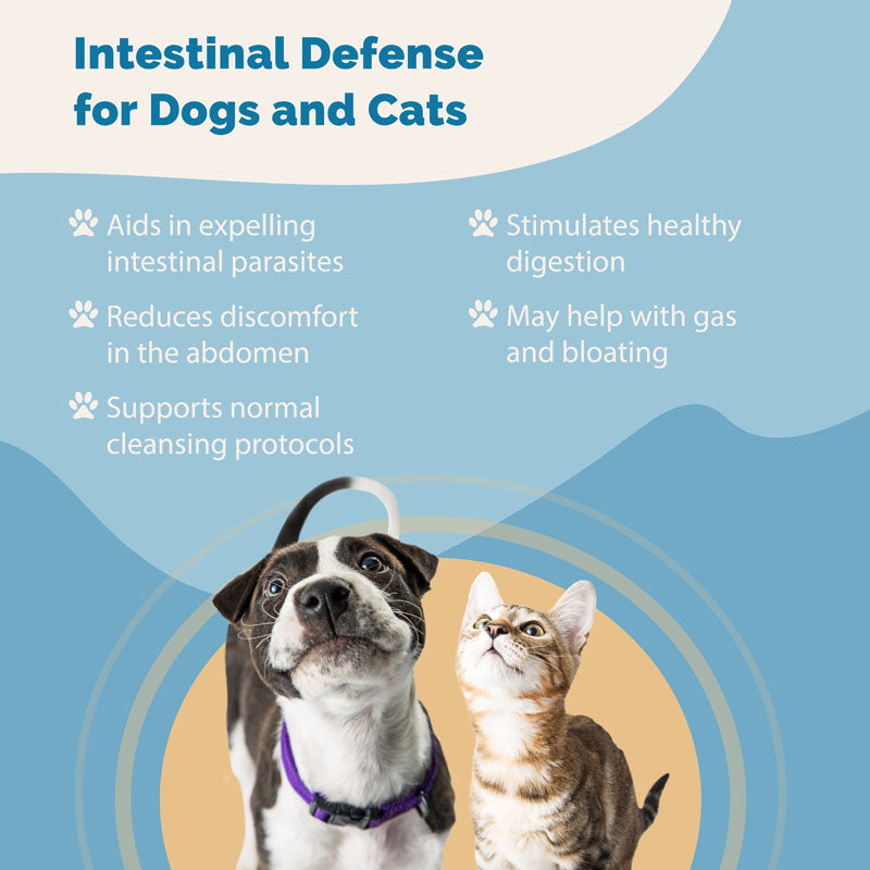 Intestinal Defense Herbal Dewormer for Cats