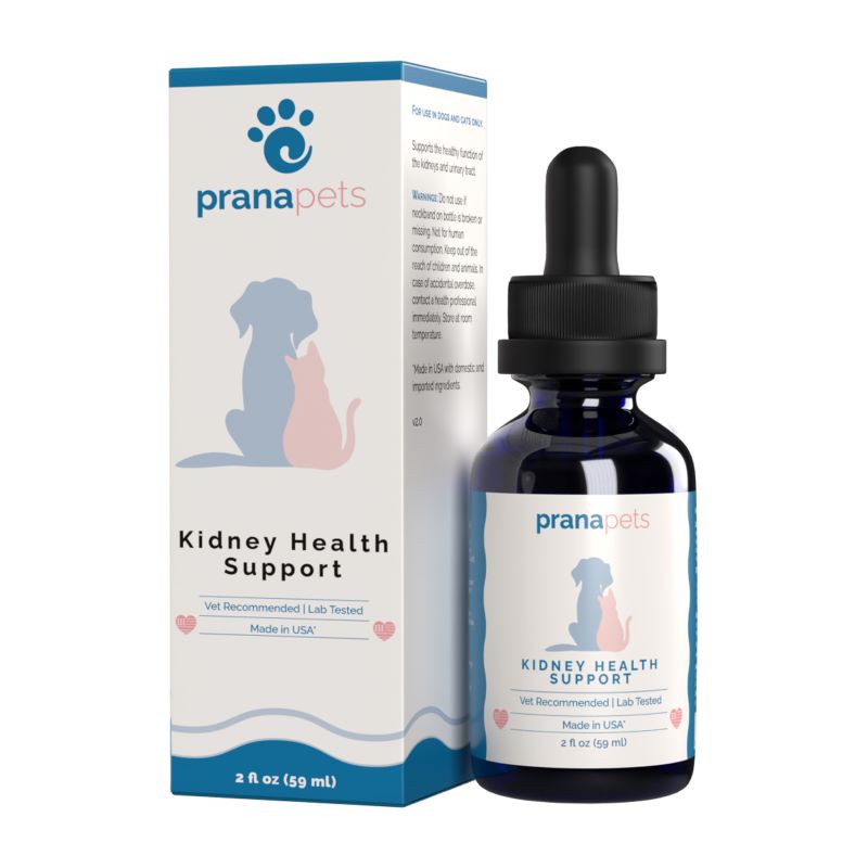 Kidney Health Support for Cats