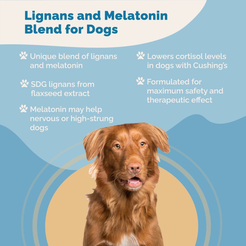 Melatonin for 2025 dogs with cushings