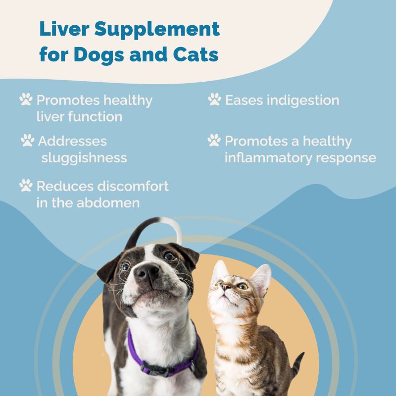 Liver Immunity Regimen