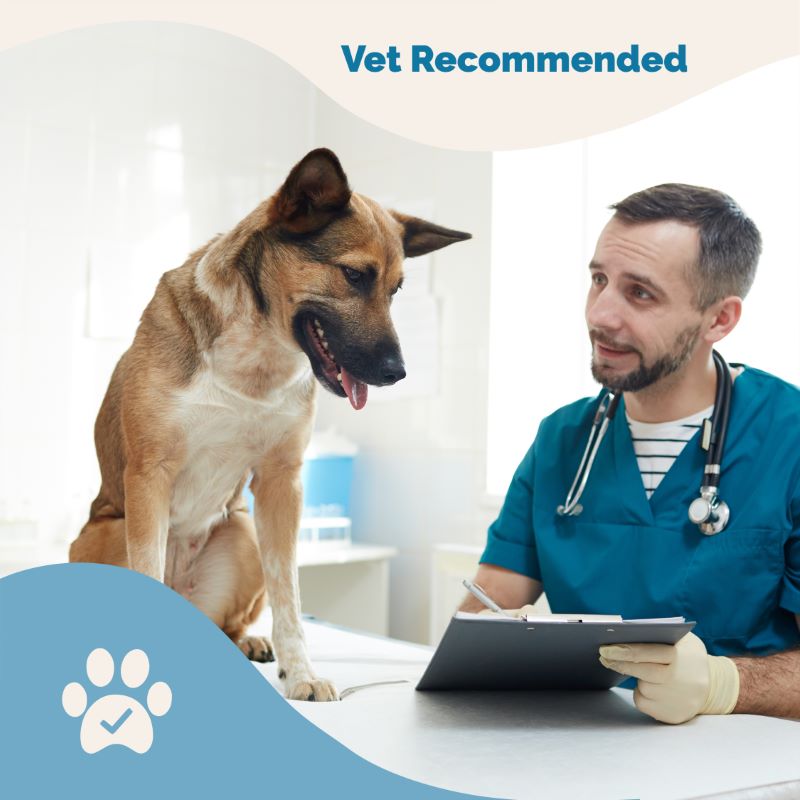 Liver Function Support for Dogs