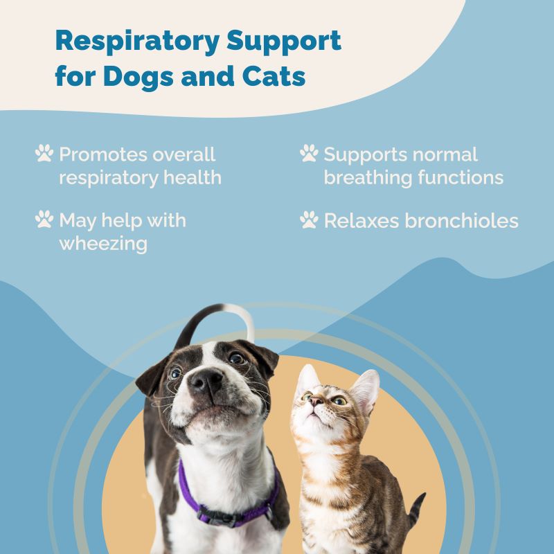 Respiratory Immunity Regimen