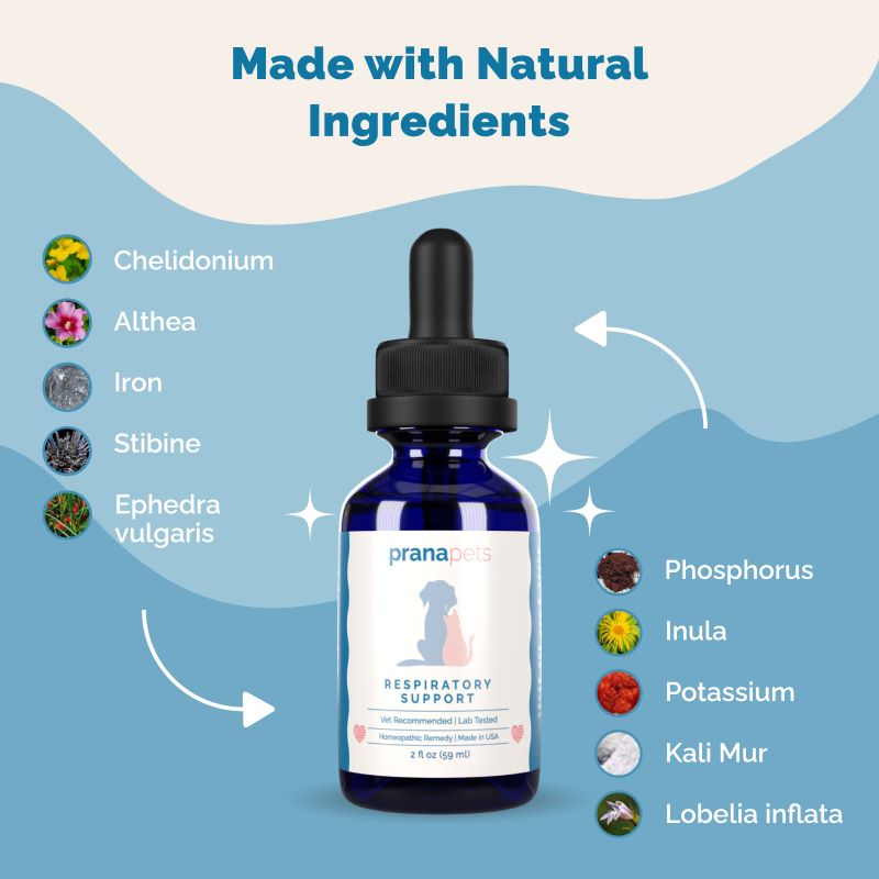 Respiratory and Sinus Immunity Regimen