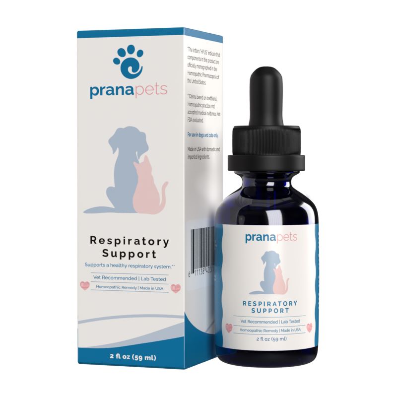 Respiratory Support for Dogs