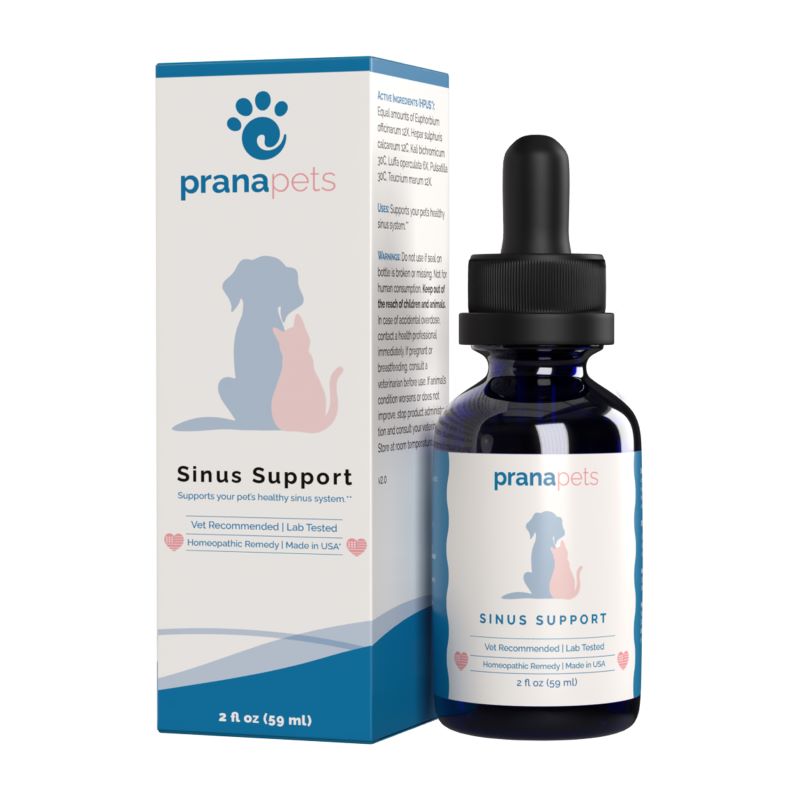 Sinus Support for Cats