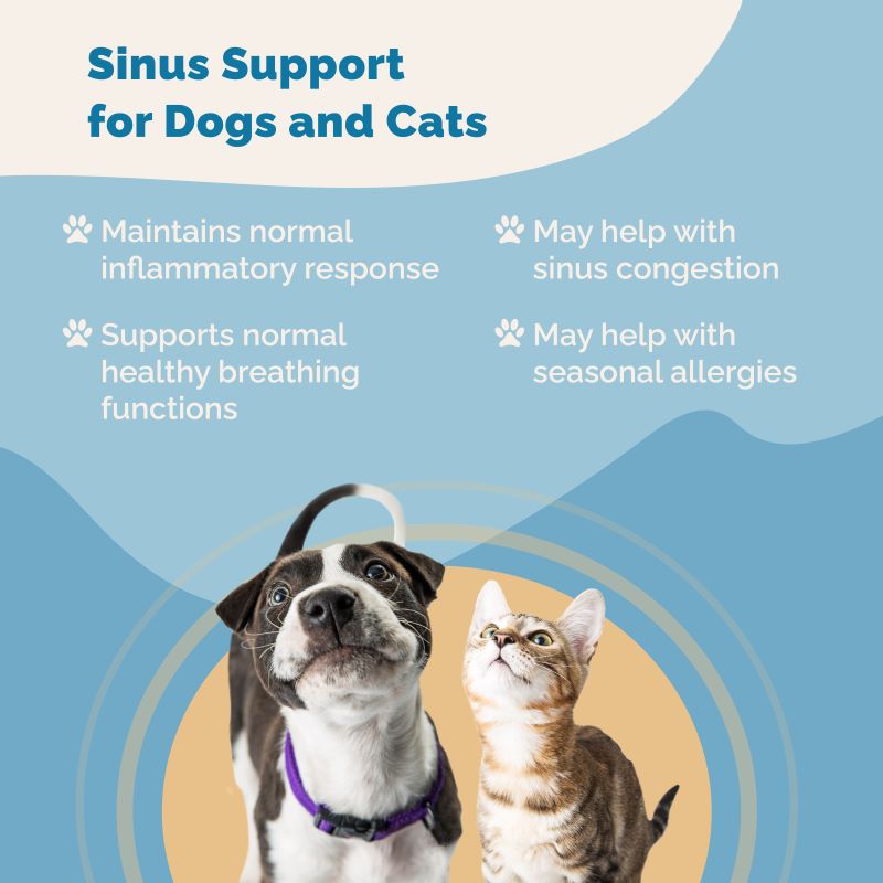 Sinus Support for Dogs