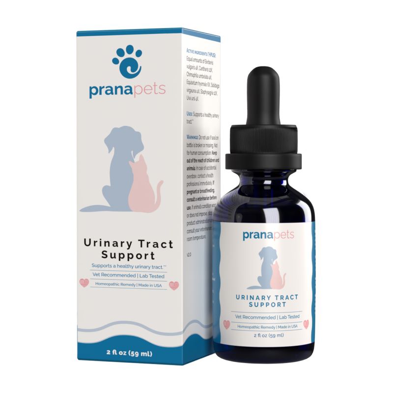 Urinary tract shop support for dogs